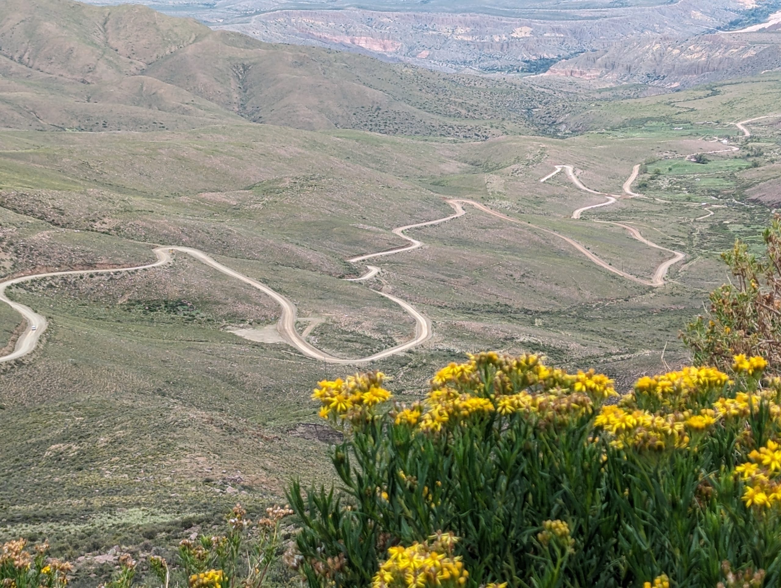 A winding road seen from a mountain overlook